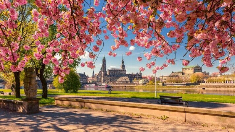 Citytrip Dresden