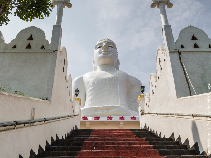 SRI LANKA - Tropisches Bilderbuch und Kulturelle Schätze