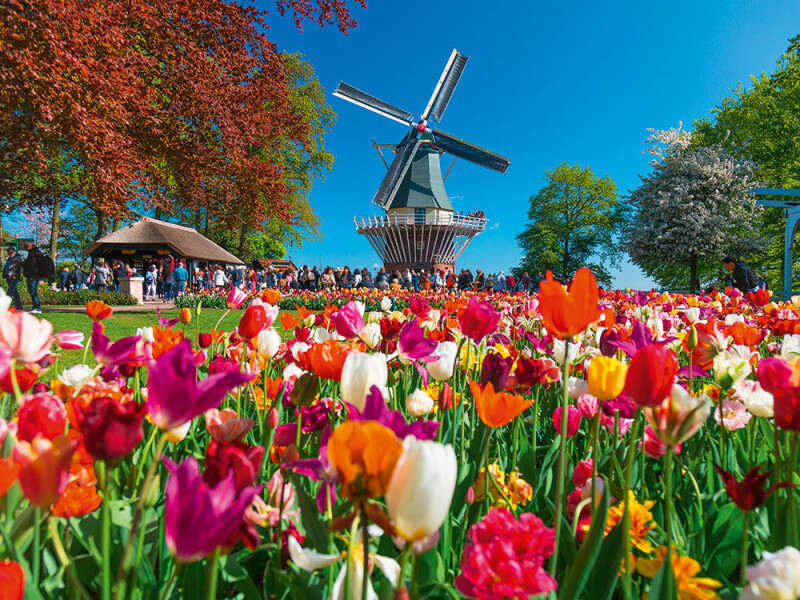 Frühjahrserwachen in Holland & Belgien mit MS SE-MANON