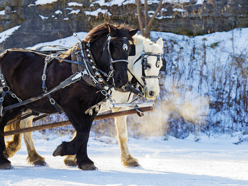 Saalfelden im Salzburger Land Weihnachten