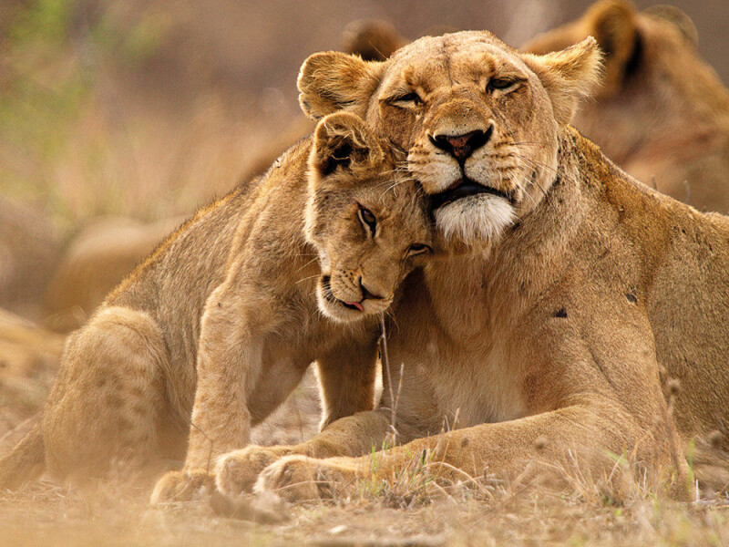 Namibia - Soft Adventure-Tour - Flugreise