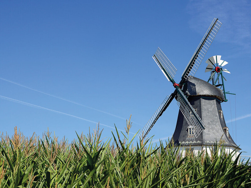 Föhr