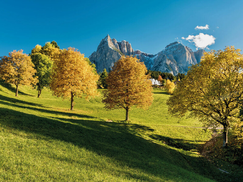 Herbstreise für Singles und Alleinreisende nach Südtirol