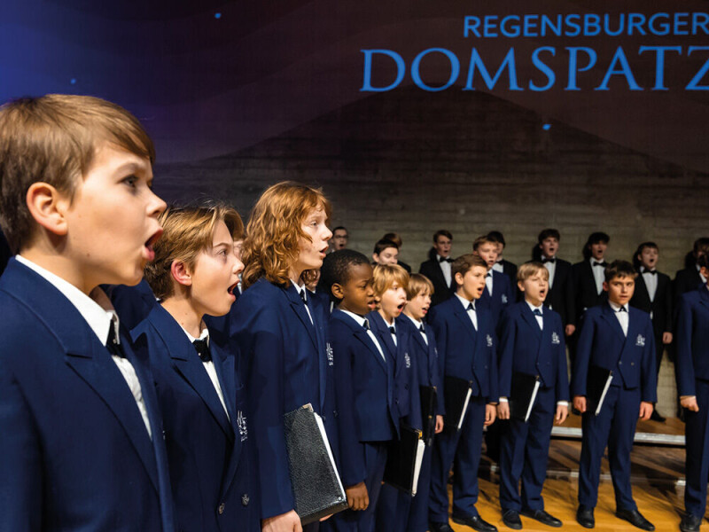 REGENSBURGER DOMSPATZEN