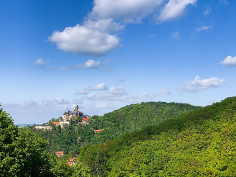 Wernigerode: Ostern im Nationalpark Harz