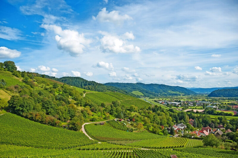 Schwarzwald