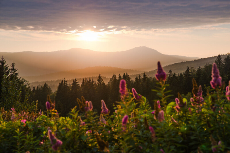Bayerischer Wald - Abschlussfahrt