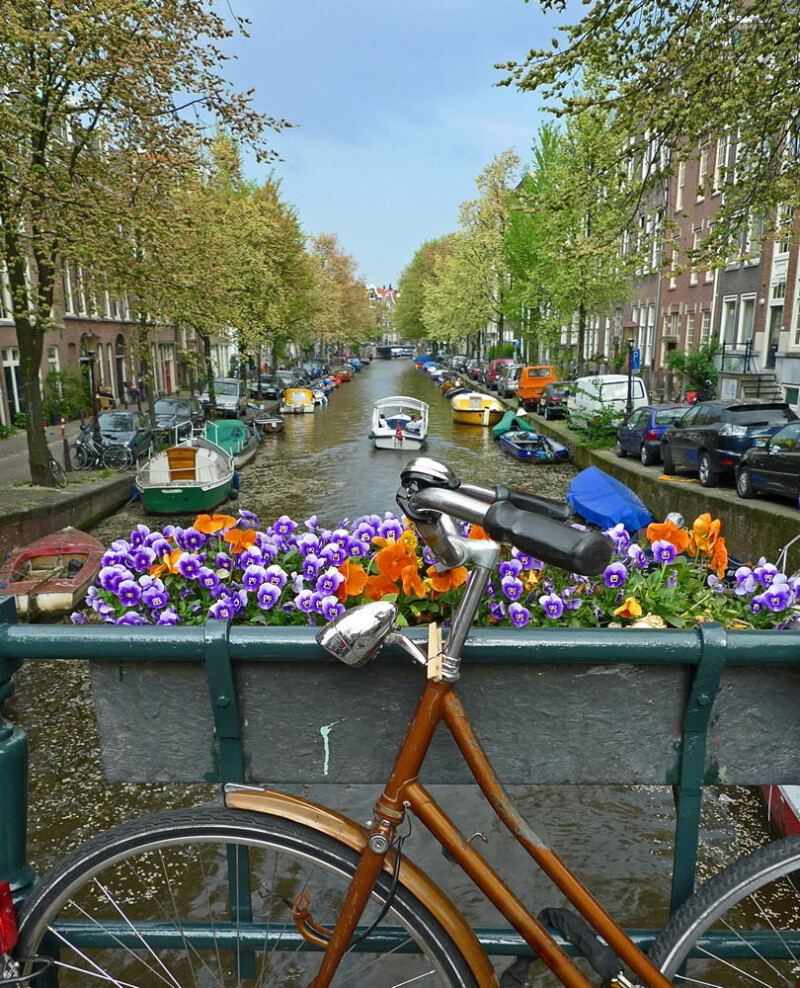 Blumenkorso Holland