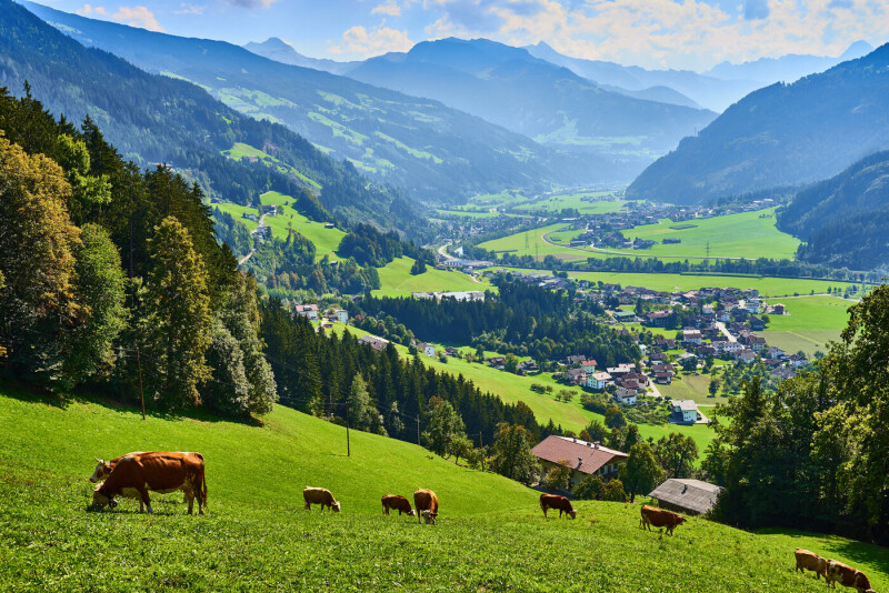 Besuch beim Dörflwirt am Hainzenberg - bei Gerlos