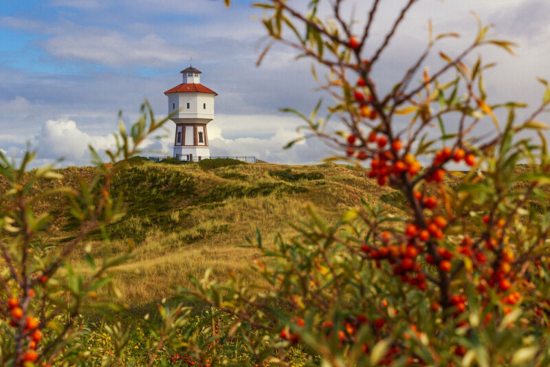 Krimis und Küstenzeit – Spannende Auszeit im hohen Norden