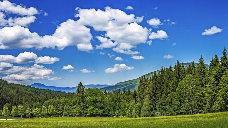 Alles inklusive im Bayerischen Wald