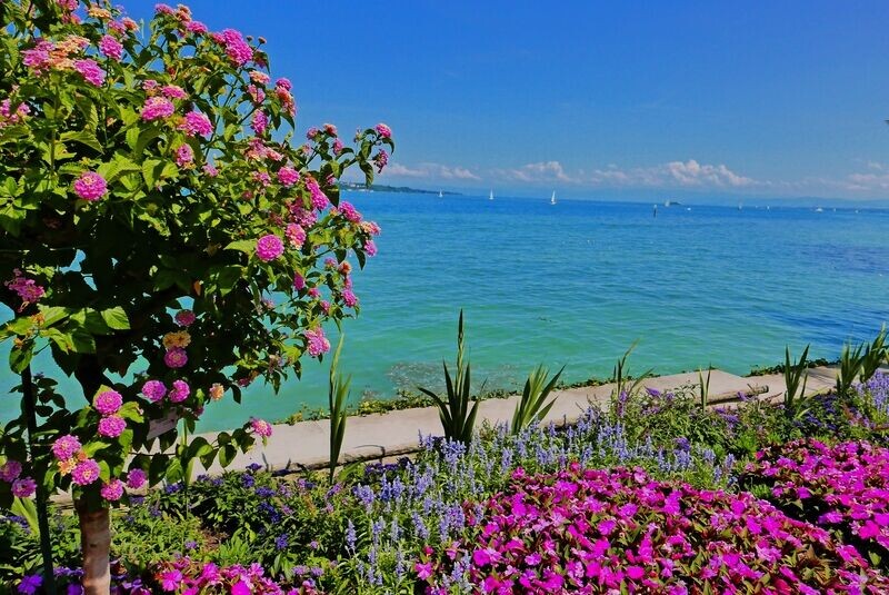 Vielseitiger Bodensee