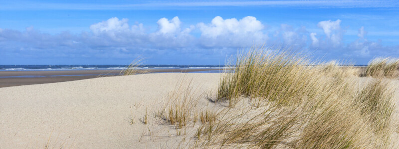 Frische Brise in Norddeich