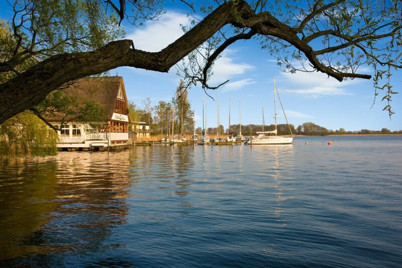 Auf Kranichtour an der Müritz