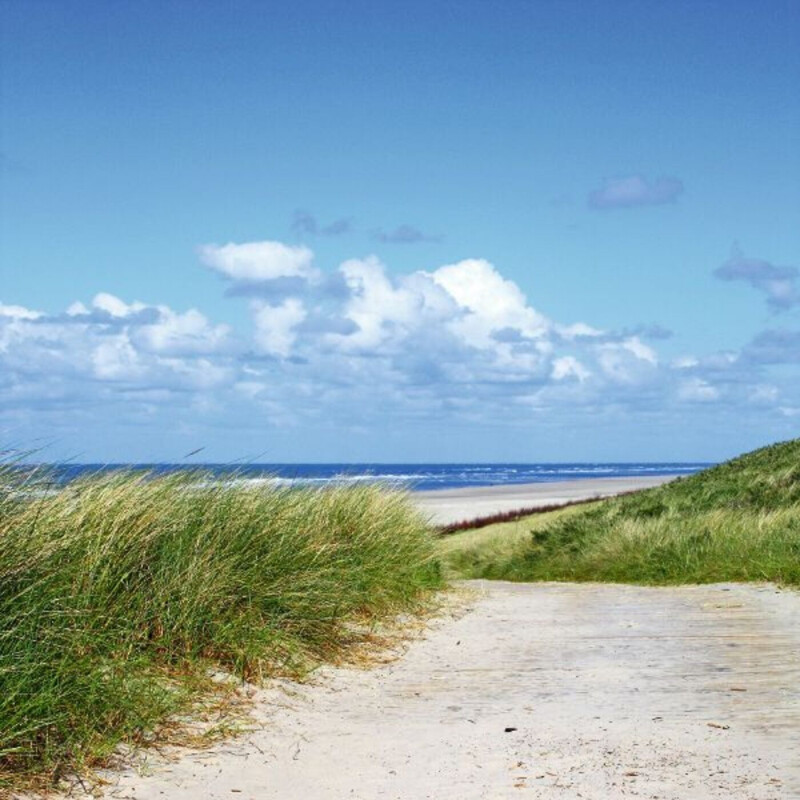 Insel Norderney - Kurzurlaub im UNESCO Weltnaturerbe Wattenmeer