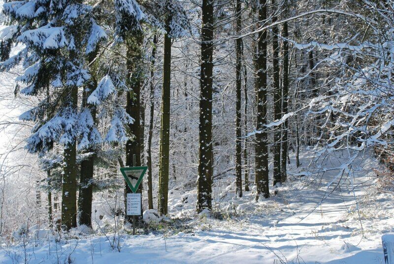 Willebadessen-Teutoburger Wald