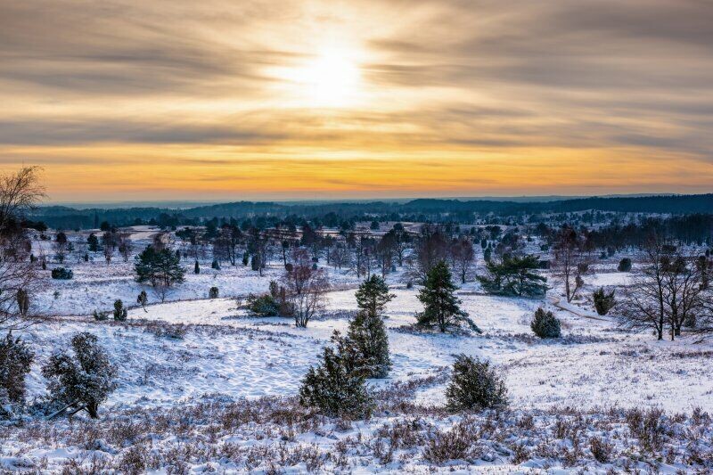 Lüneburger Heide