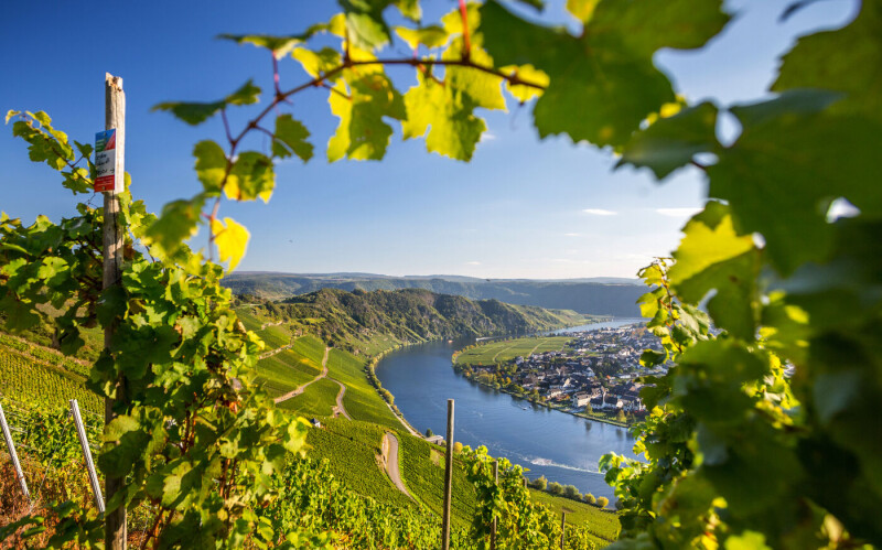 Romantische Mosel - Weinhänge, historische Städte & Fachwerkidyll