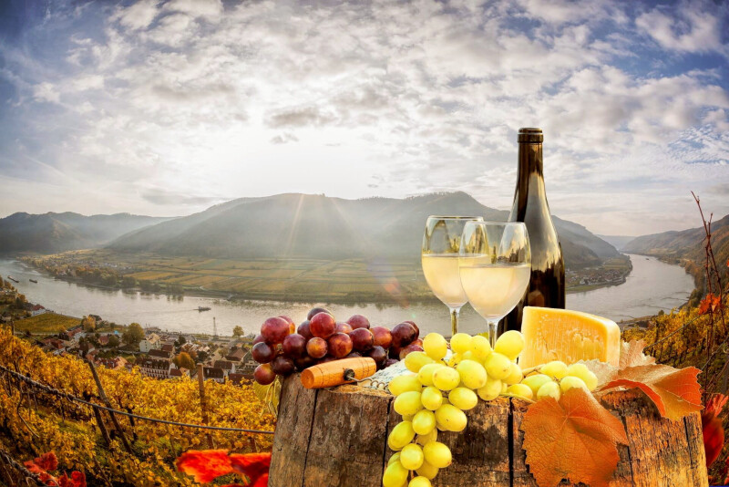 Zur Weinzeit auf der Donau