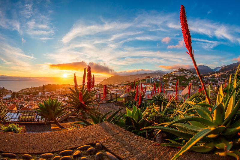 Madeira mit Flug ab Sonderburg Insel des ewigen Frühlings