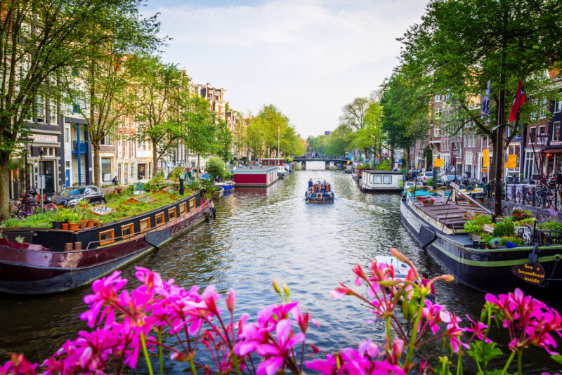 Hollands Dahlienblüte im Spätsommer
