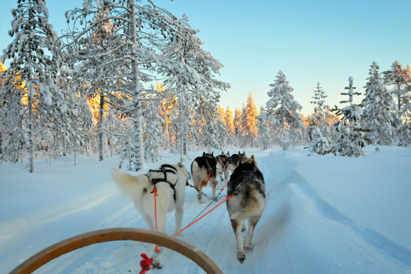 Geheimnisvolles Lappland