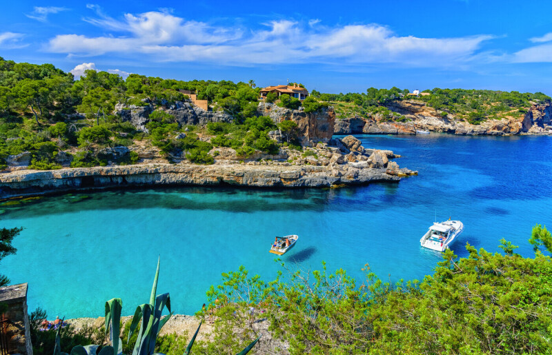 Mallorca zur Mandelblüte