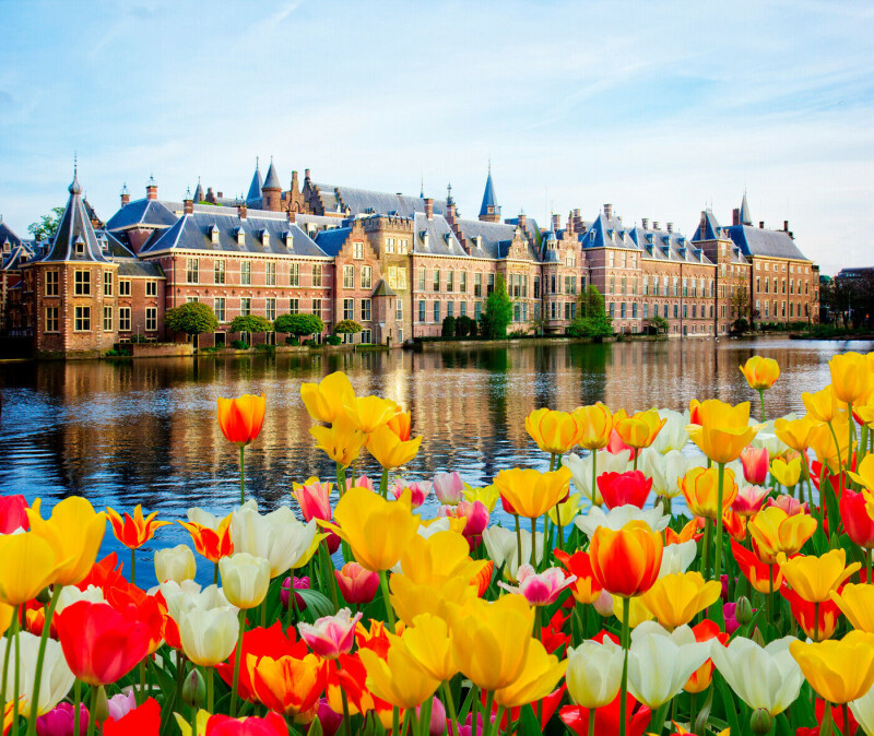 Zauberhafte Tulpenblüte und nostalgischer Dampfzug