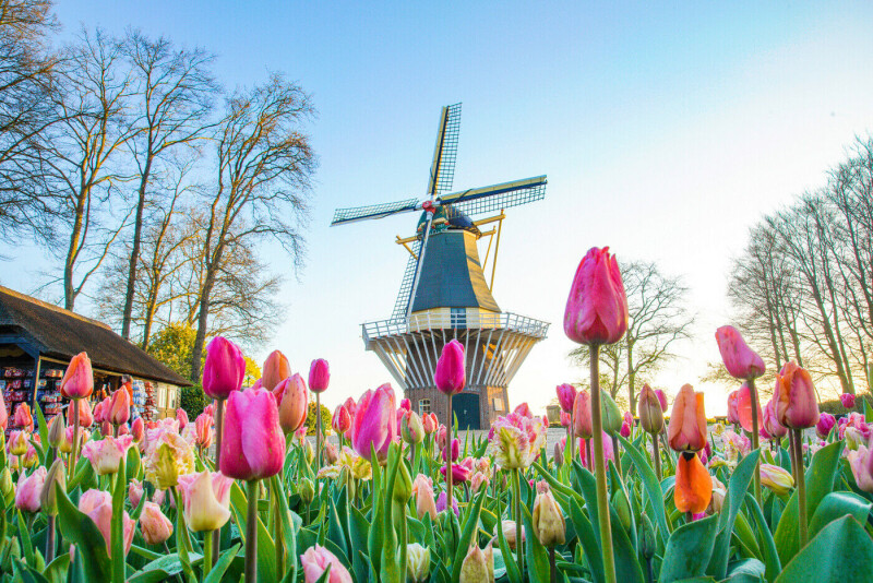 Auf van Goghs Spuren durch Holland