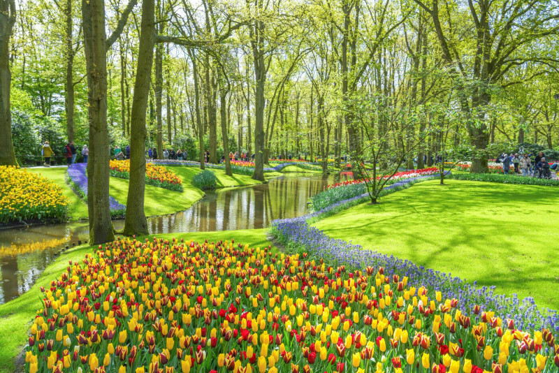 Hollands Höhepunkte: Amsterdam - Rotterdam - Utrecht