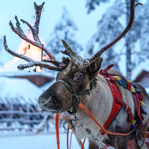 Winterwunderland Schweden