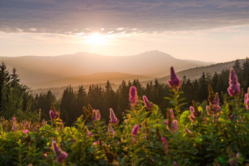 Stippvisite im Bayerischen Wald