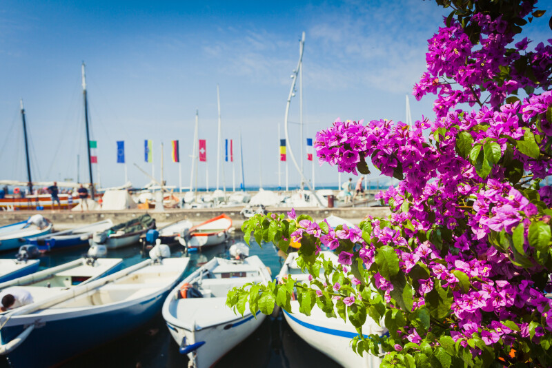 Weinfest in Bardolino