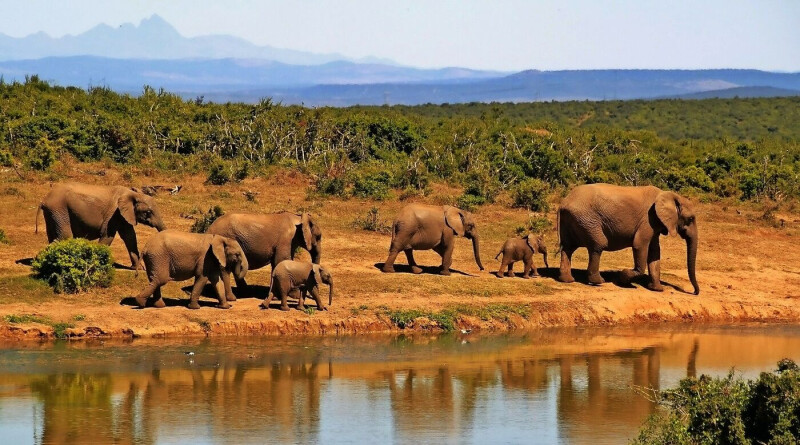 Südafrika - Abenteuer zwischen Kapstadt & Kruger Nationalpark