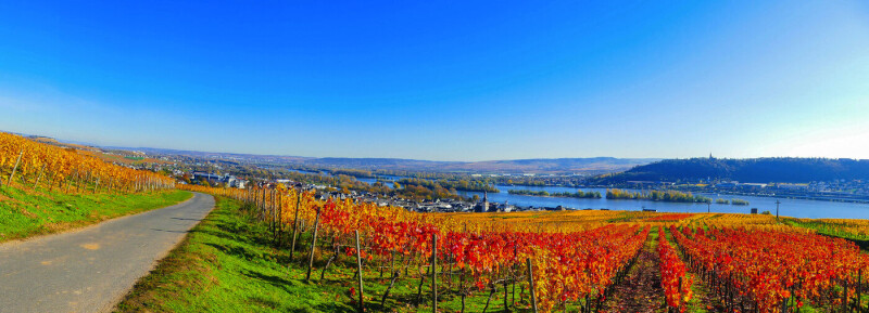Rhein - Mosel - Saar - Auf den Spuren dreier Flüsse