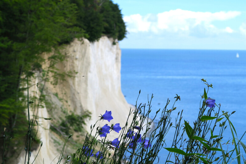 Rügen - Eine Reise zu weißen Klippen und endlosen Stränden