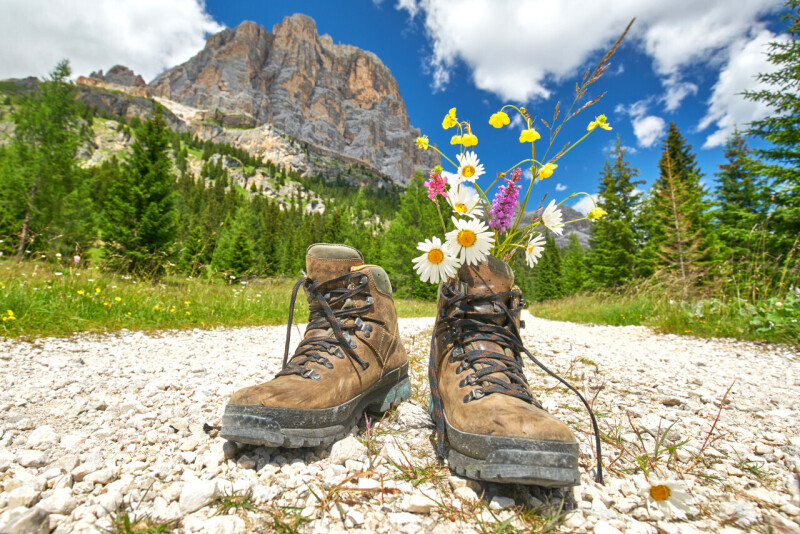 Genussurlaub in der "Riederalm"
