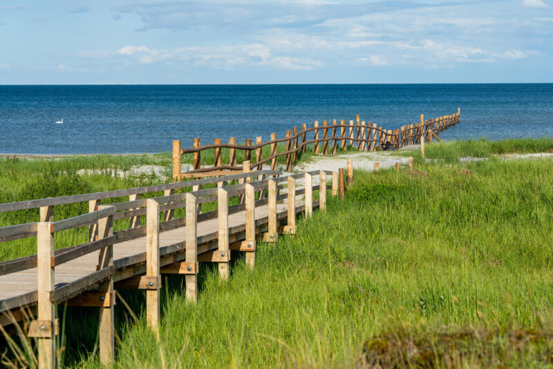 Kranichrast an Ostsee und Bodden