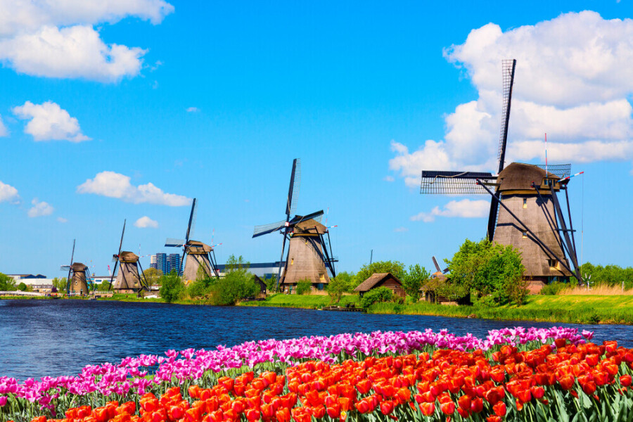 Tulpenblüte in Holland - Keukenhof, Rotterdam und Amsterdam