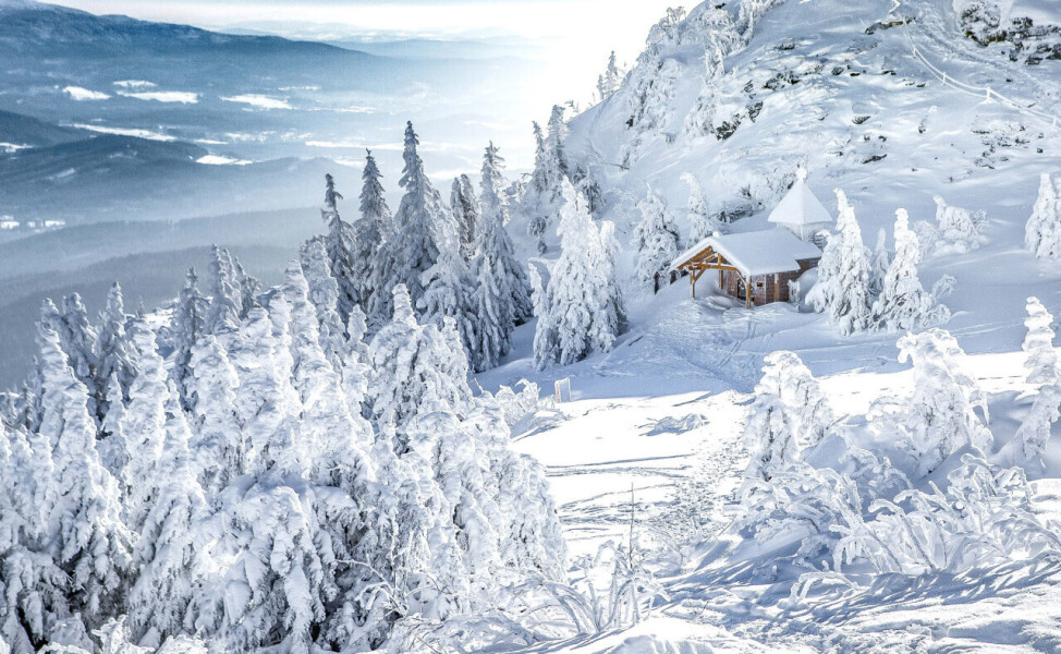 Bayerischer Wald - Weihnachten & Silvester