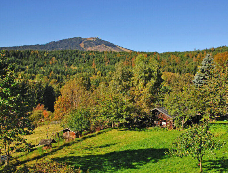 Bayerischer Wald - 3 Hotels zur Wahl!