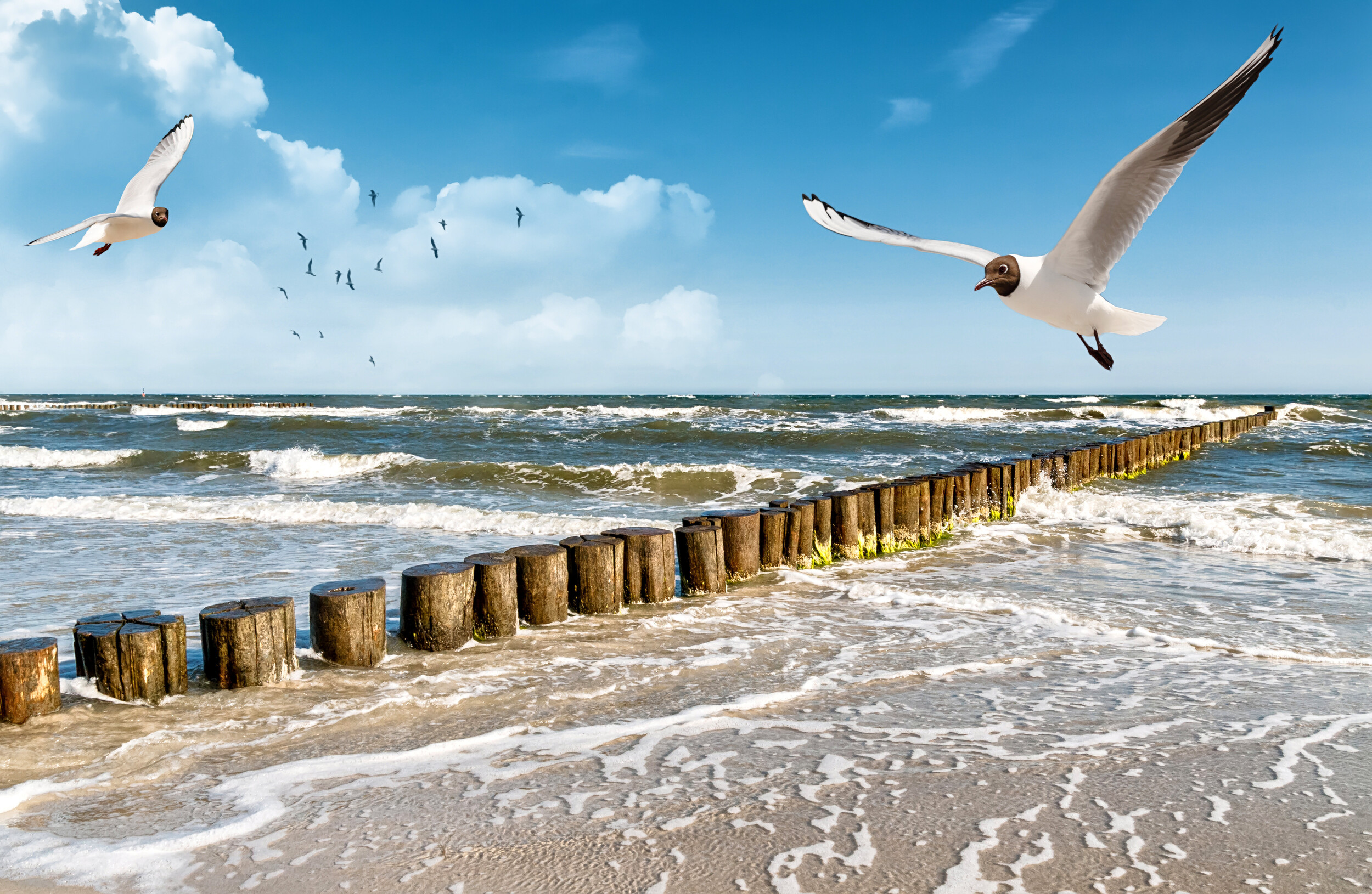 Usedom
